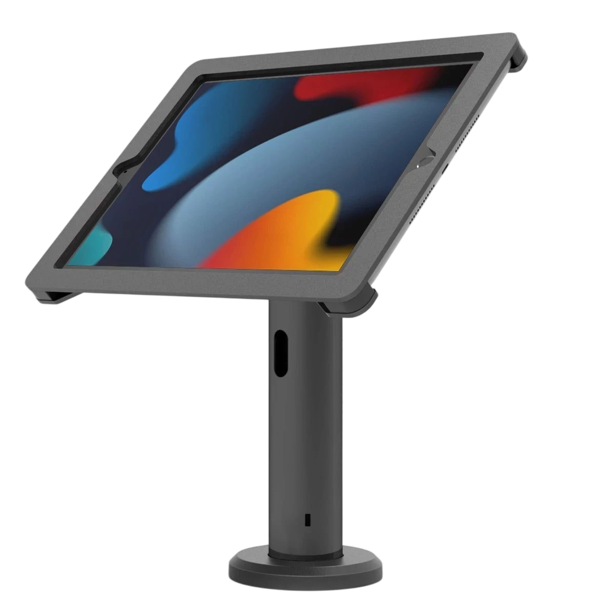 AXXIS for iPad — 2
