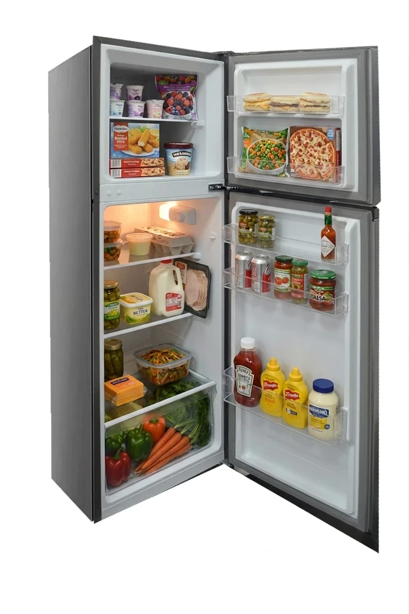 Refrigerator Hisense RD20DR-SILVER — 5