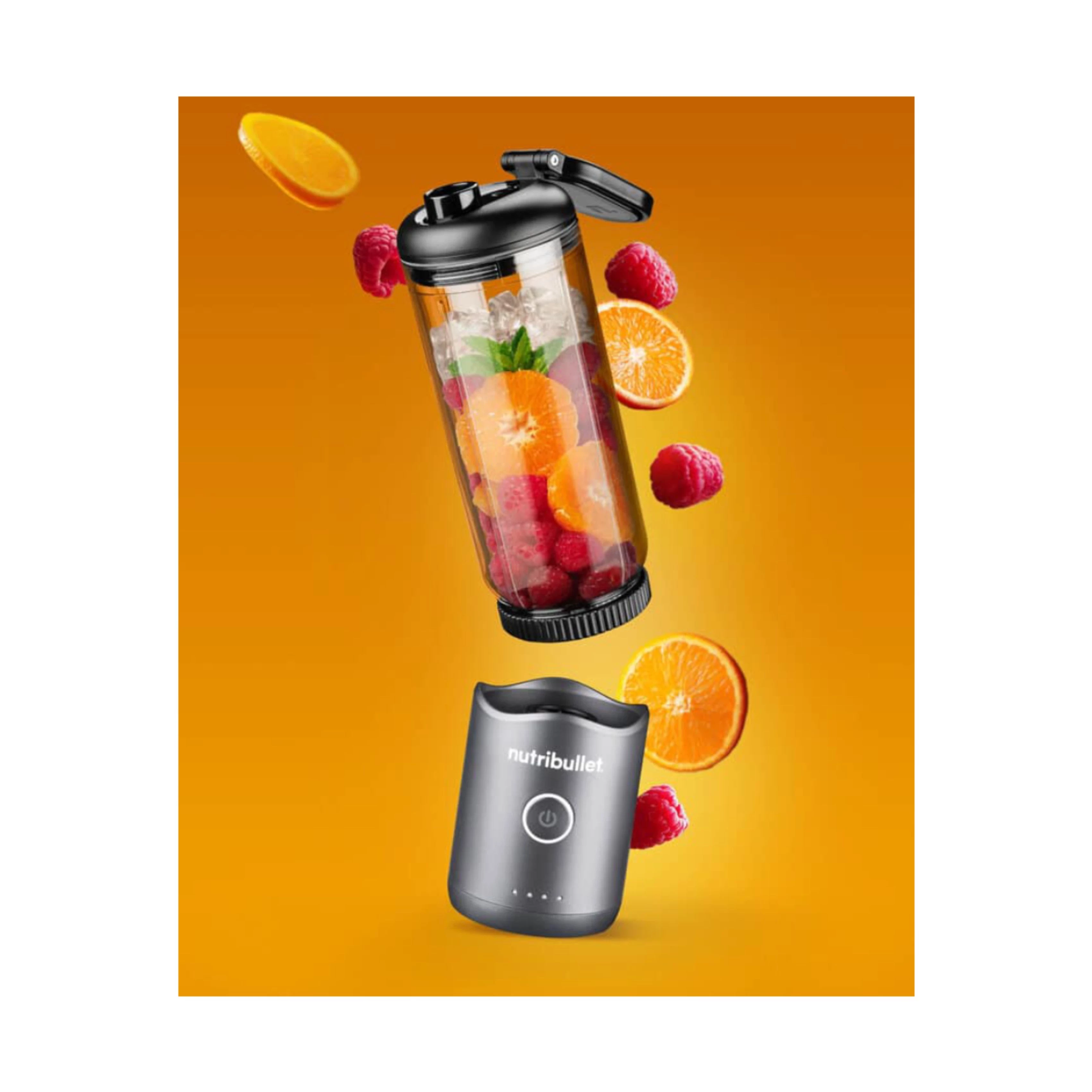 NUTRIBULLET NBP013GM — 4